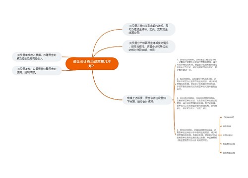 资金会计应当设置哪几本账？
