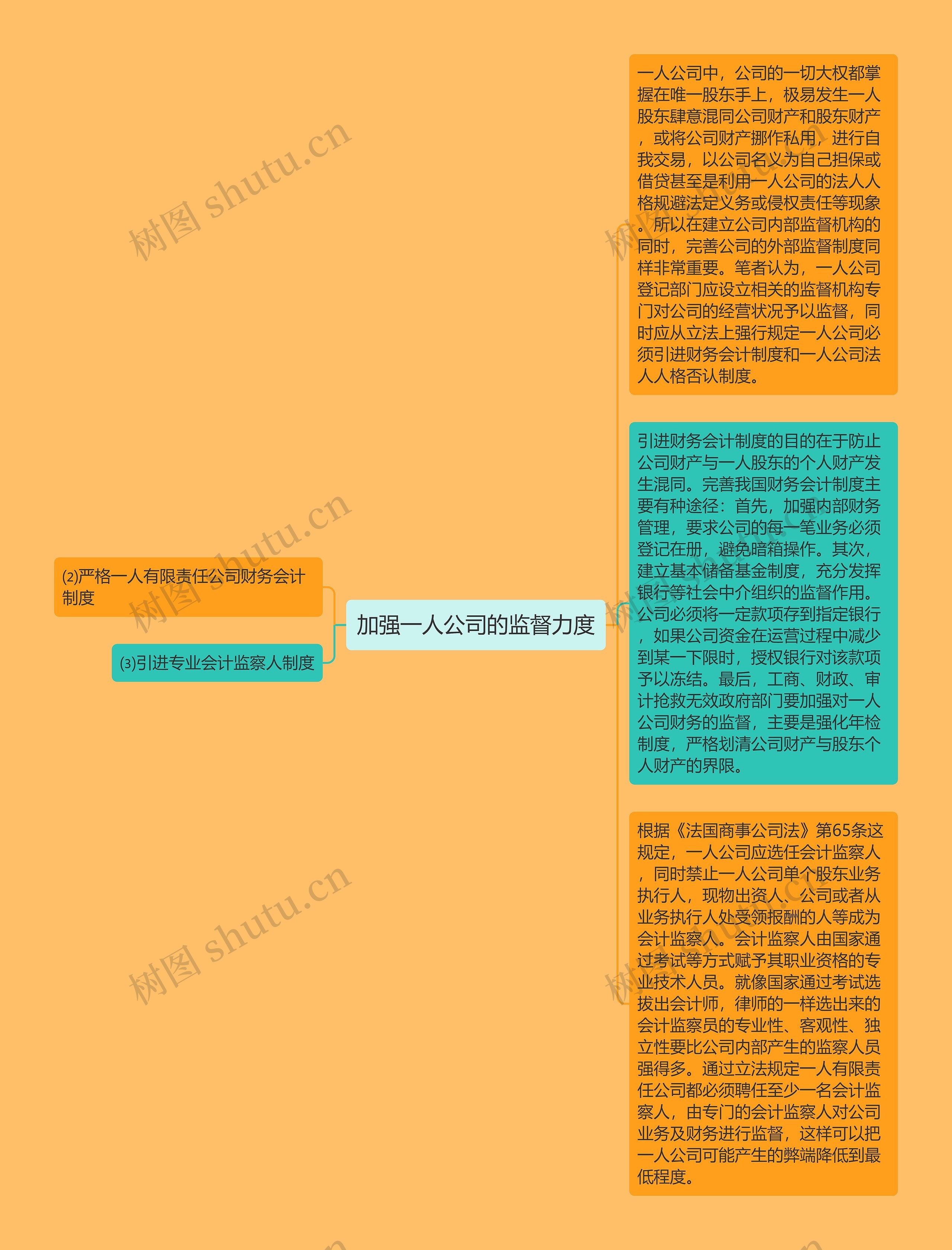 加强一人公司的监督力度
