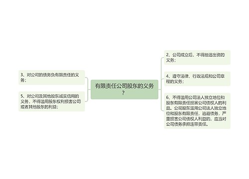 有限责任公司股东的义务？