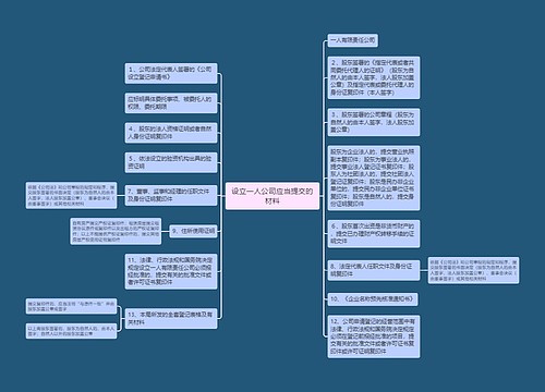 设立一人公司应当提交的材料