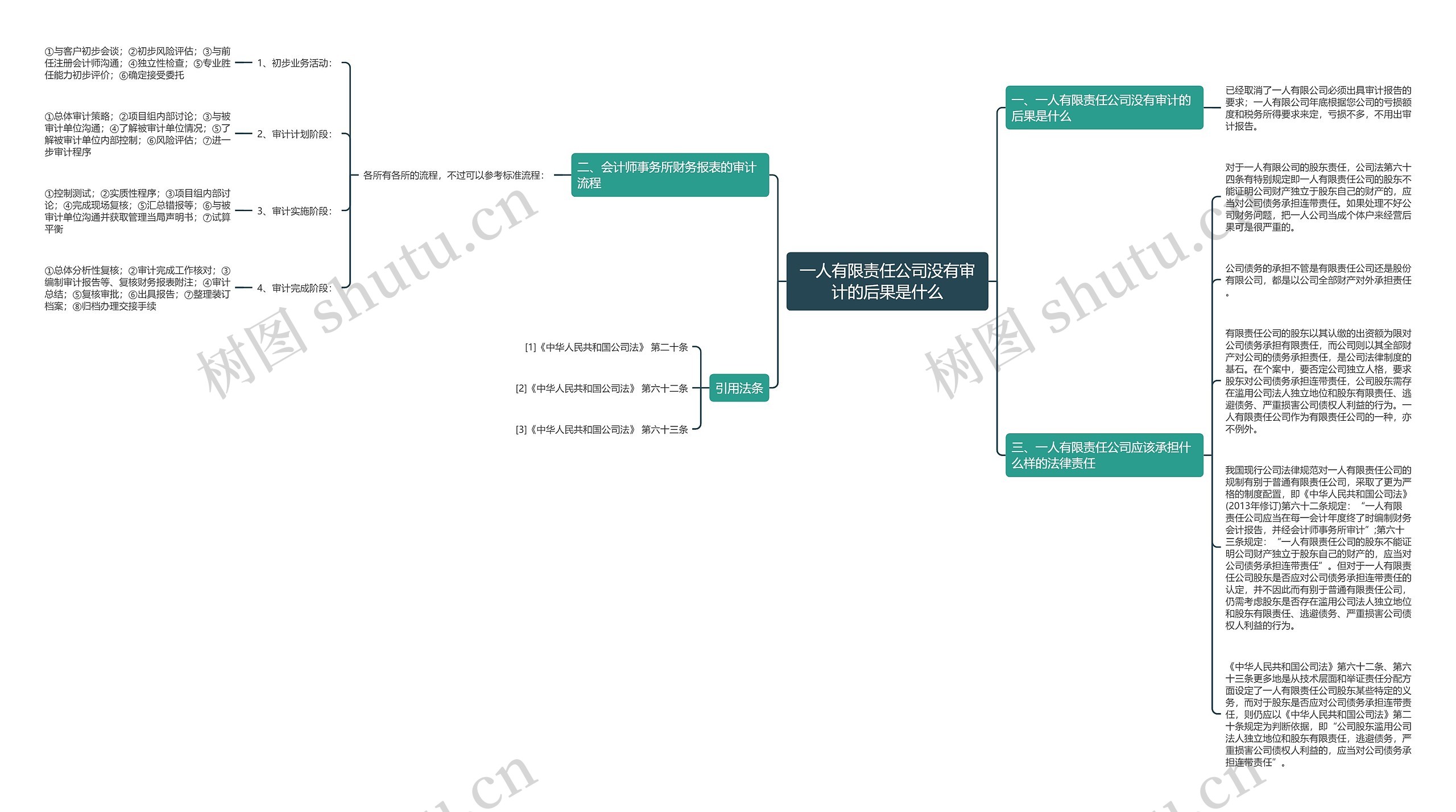 一人有限责任公司没有审计的后果是什么思维导图