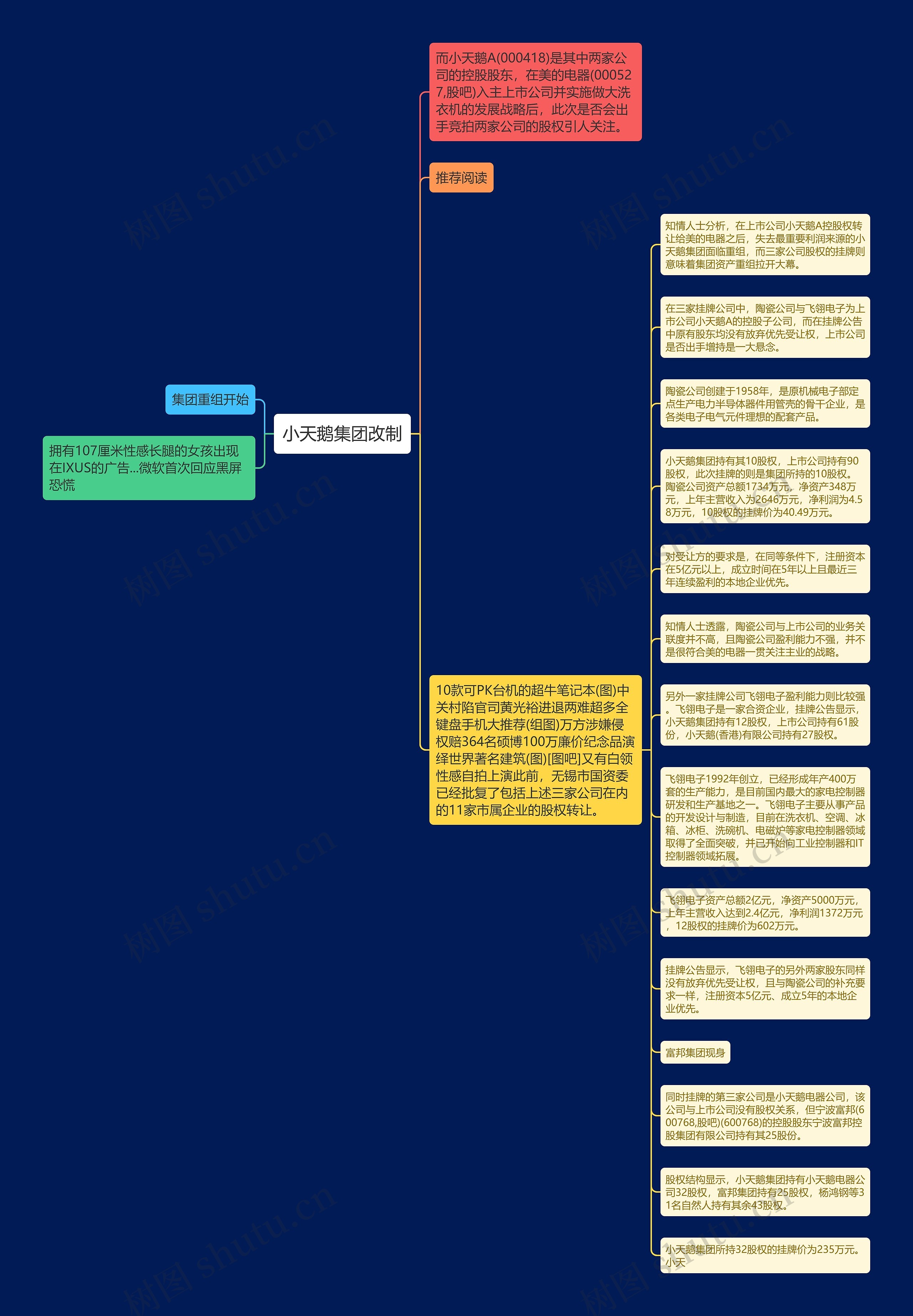 小天鹅集团改制思维导图