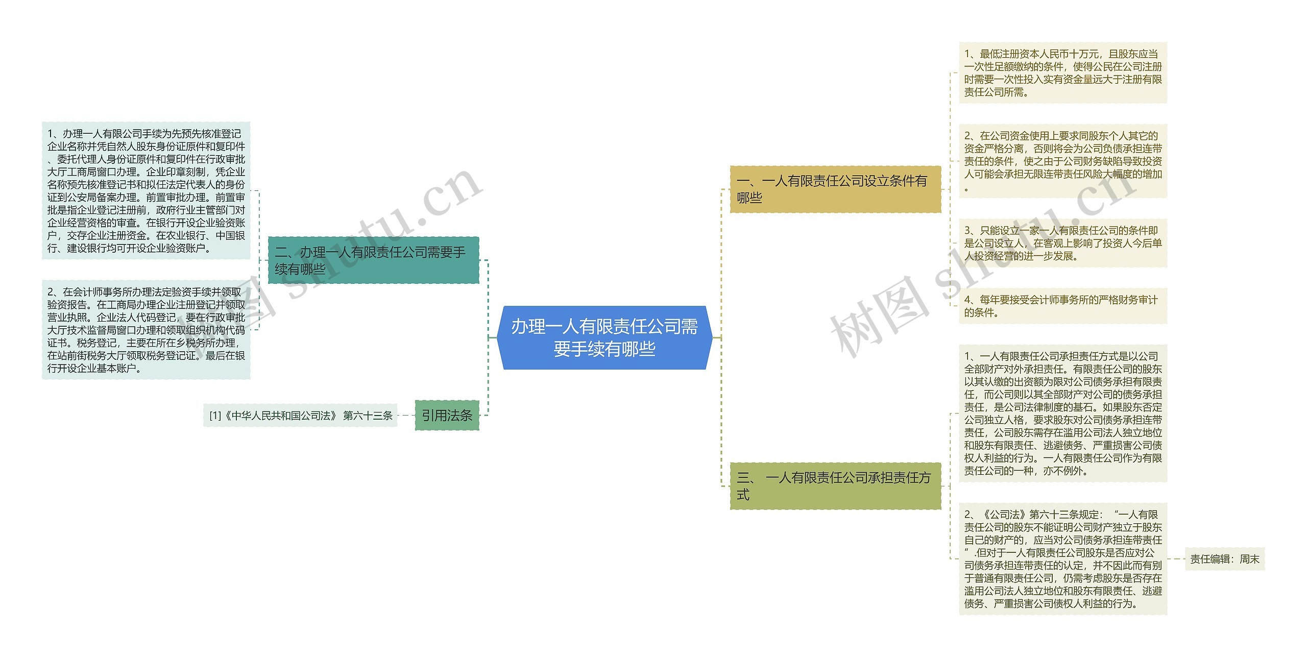 办理一人有限责任公司需要手续有哪些思维导图