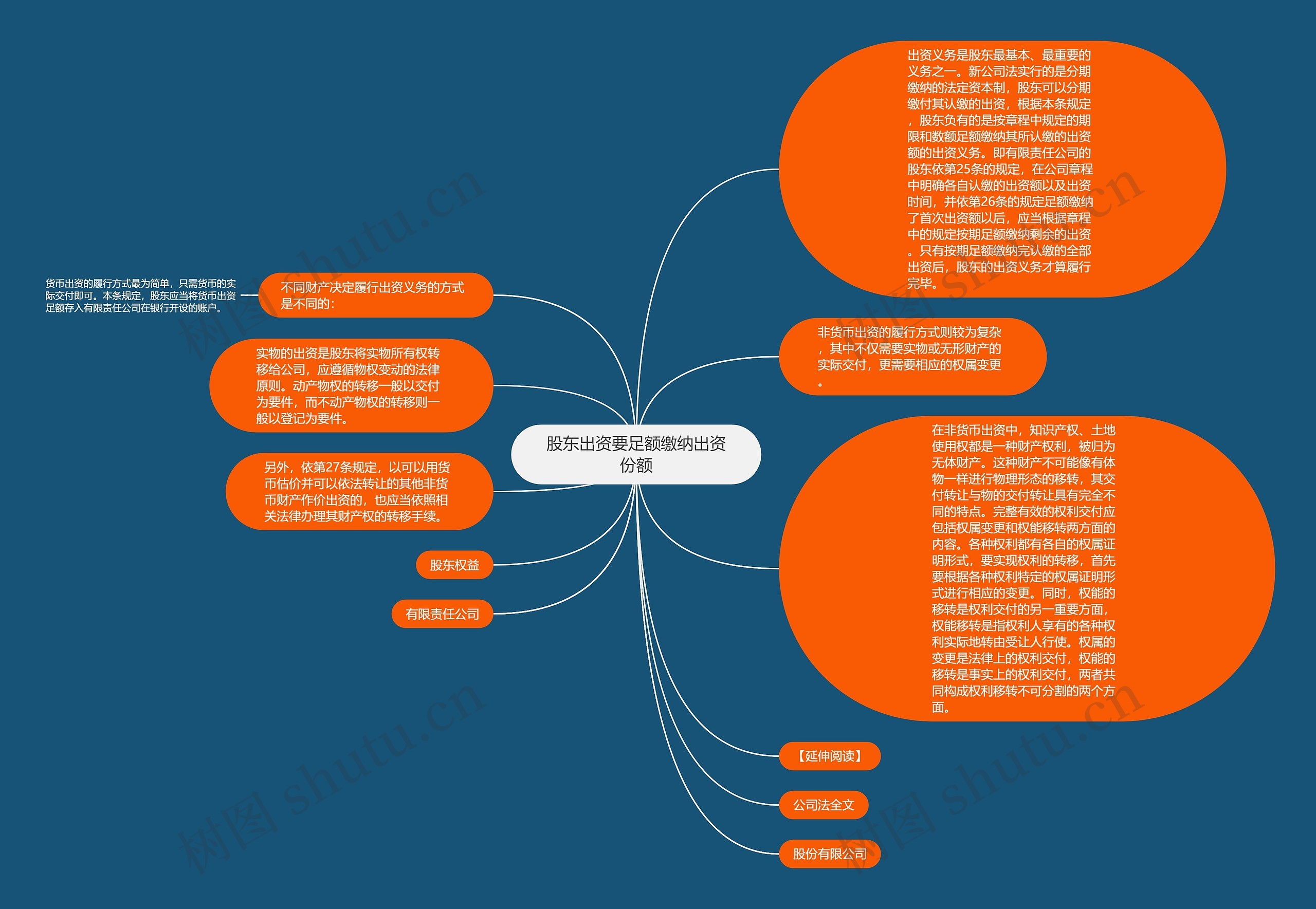 股东出资要足额缴纳出资份额思维导图
