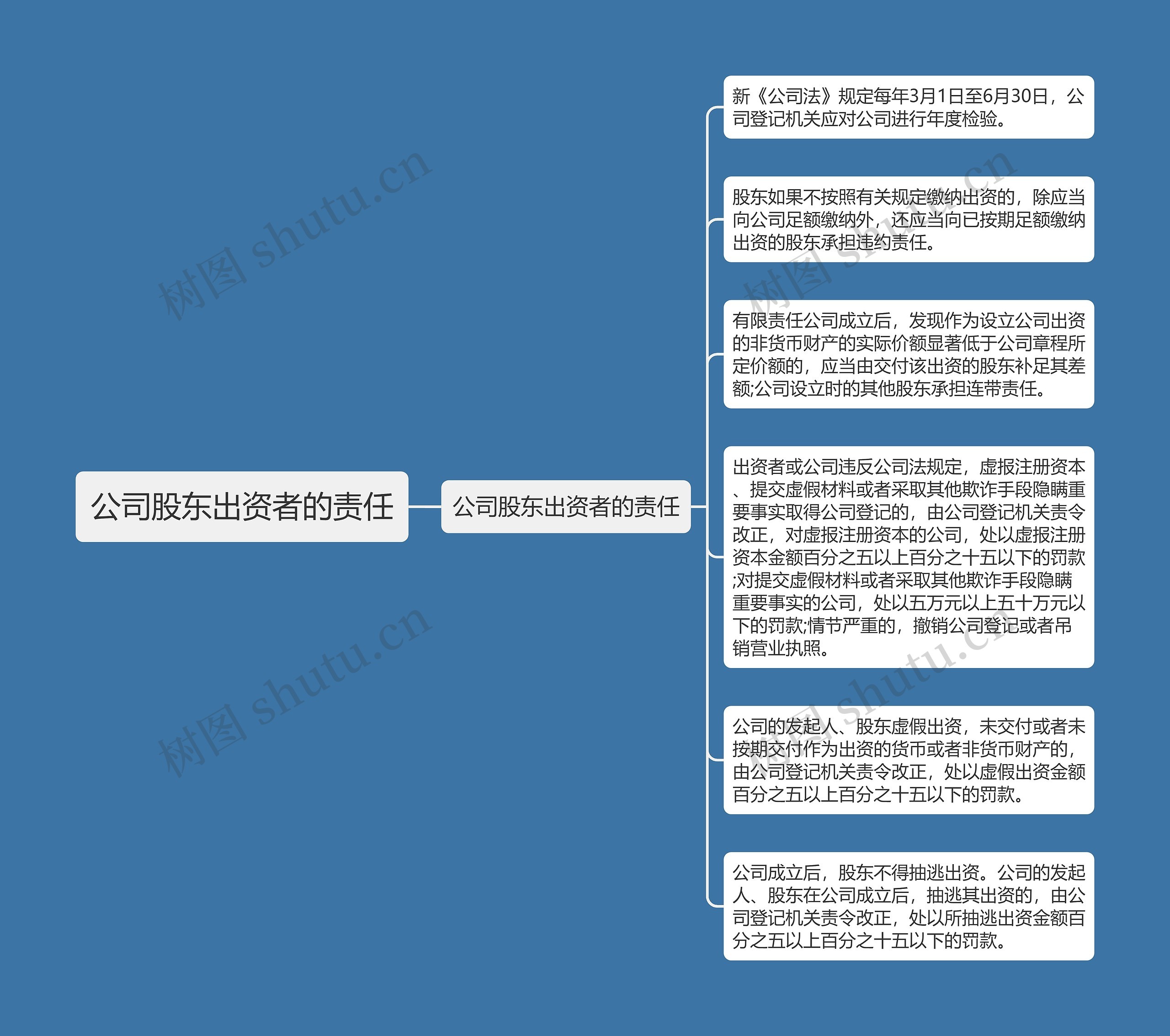 公司股东出资者的责任思维导图