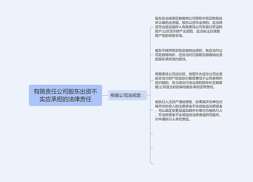 有限责任公司股东出资不实应承担的法律责任