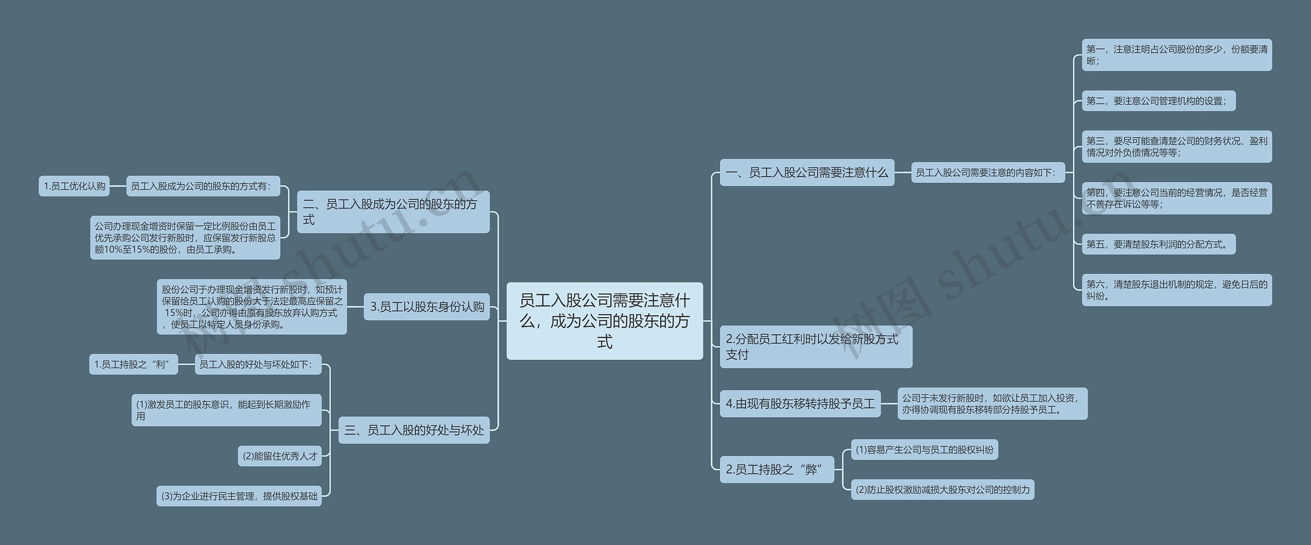 员工入股公司需要注意什么，成为公司的股东的方式思维导图