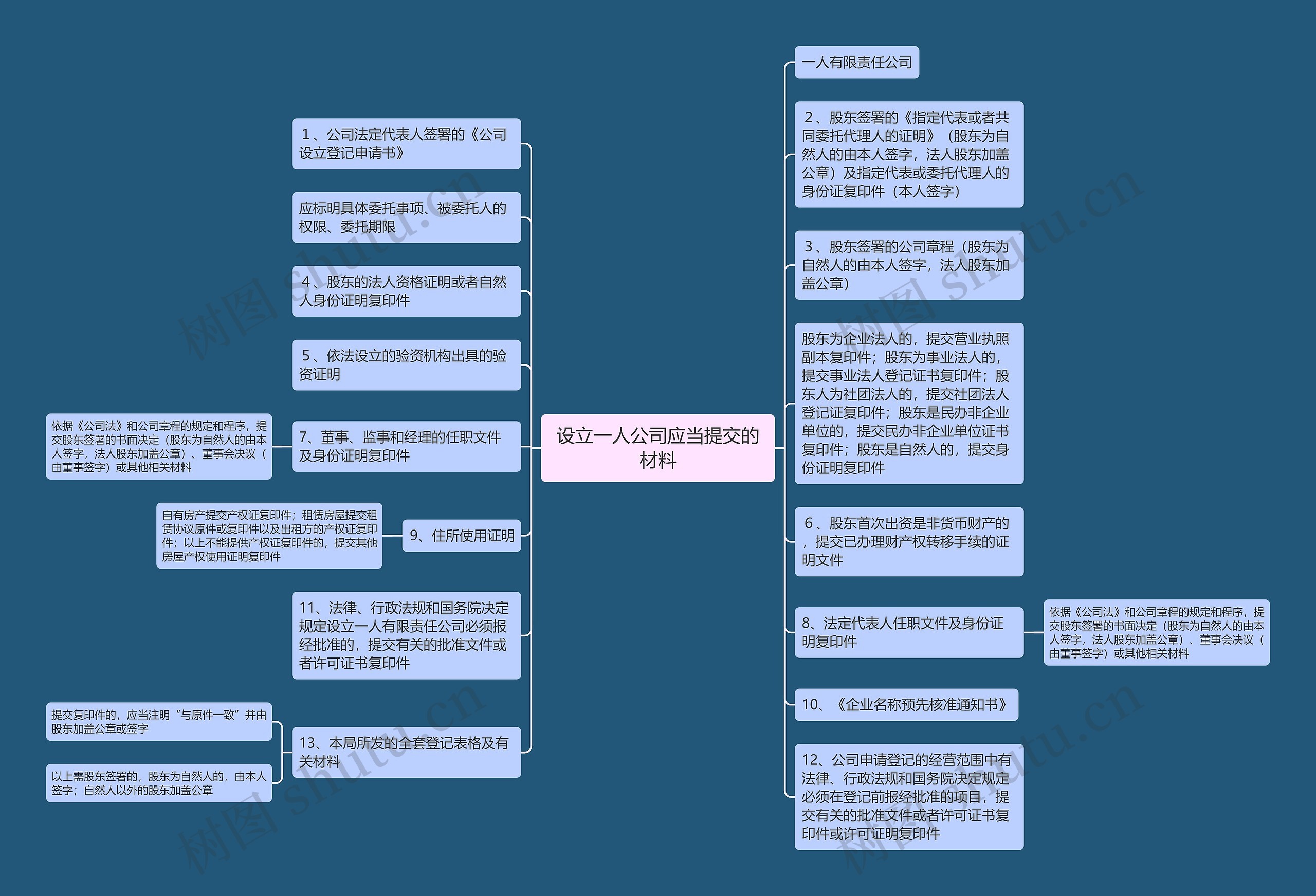 设立一人公司应当提交的材料