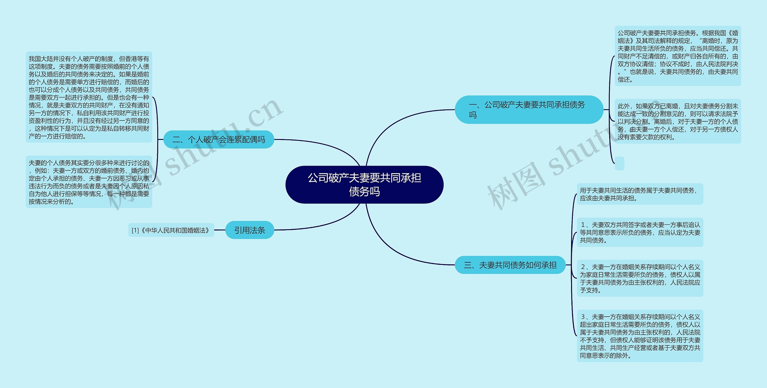 公司破产夫妻要共同承担债务吗思维导图