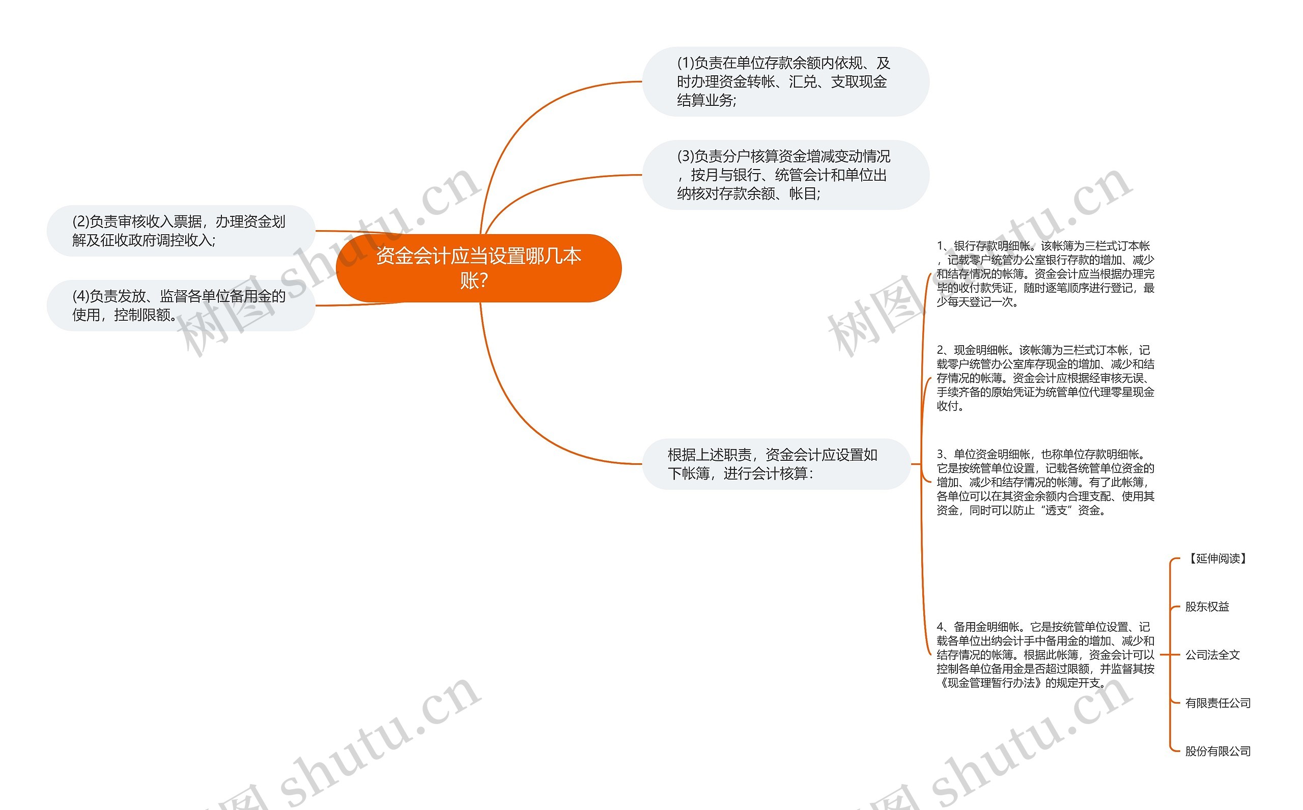 资金会计应当设置哪几本账？