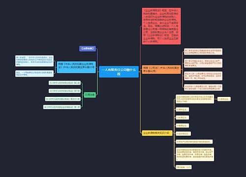 一人有限责任公司缴什么税