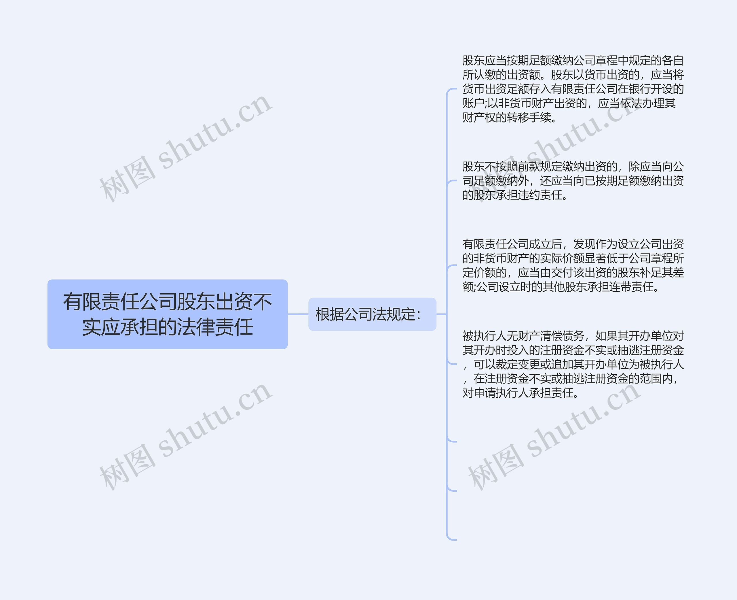 有限责任公司股东出资不实应承担的法律责任