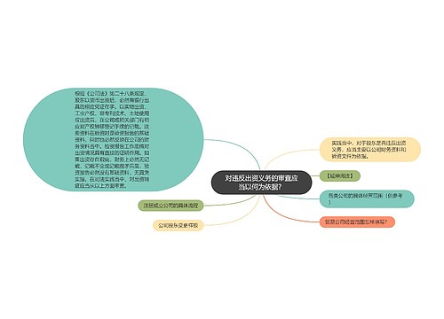 对违反出资义务的审查应当以何为依据？