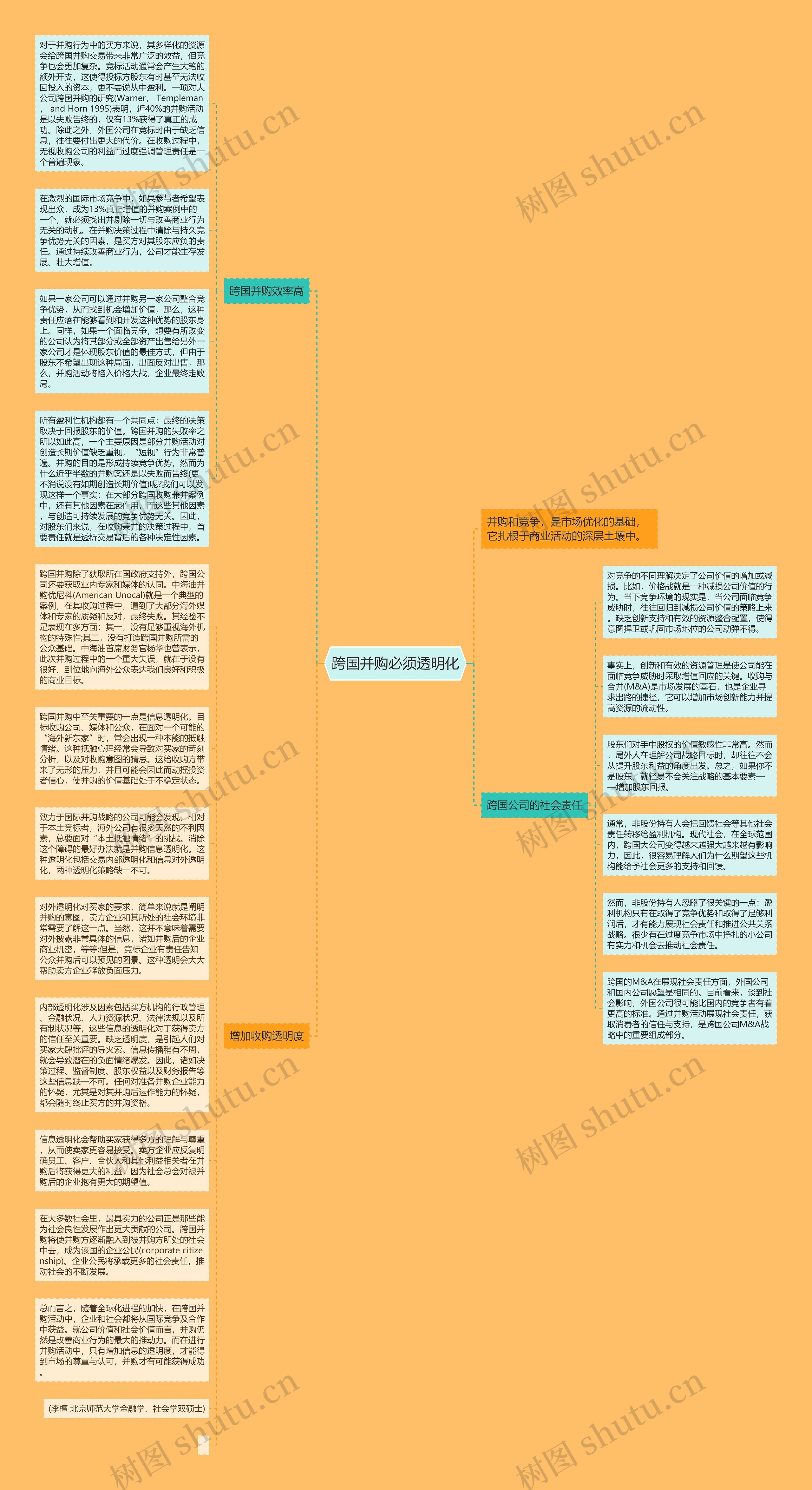 跨国并购必须透明化思维导图