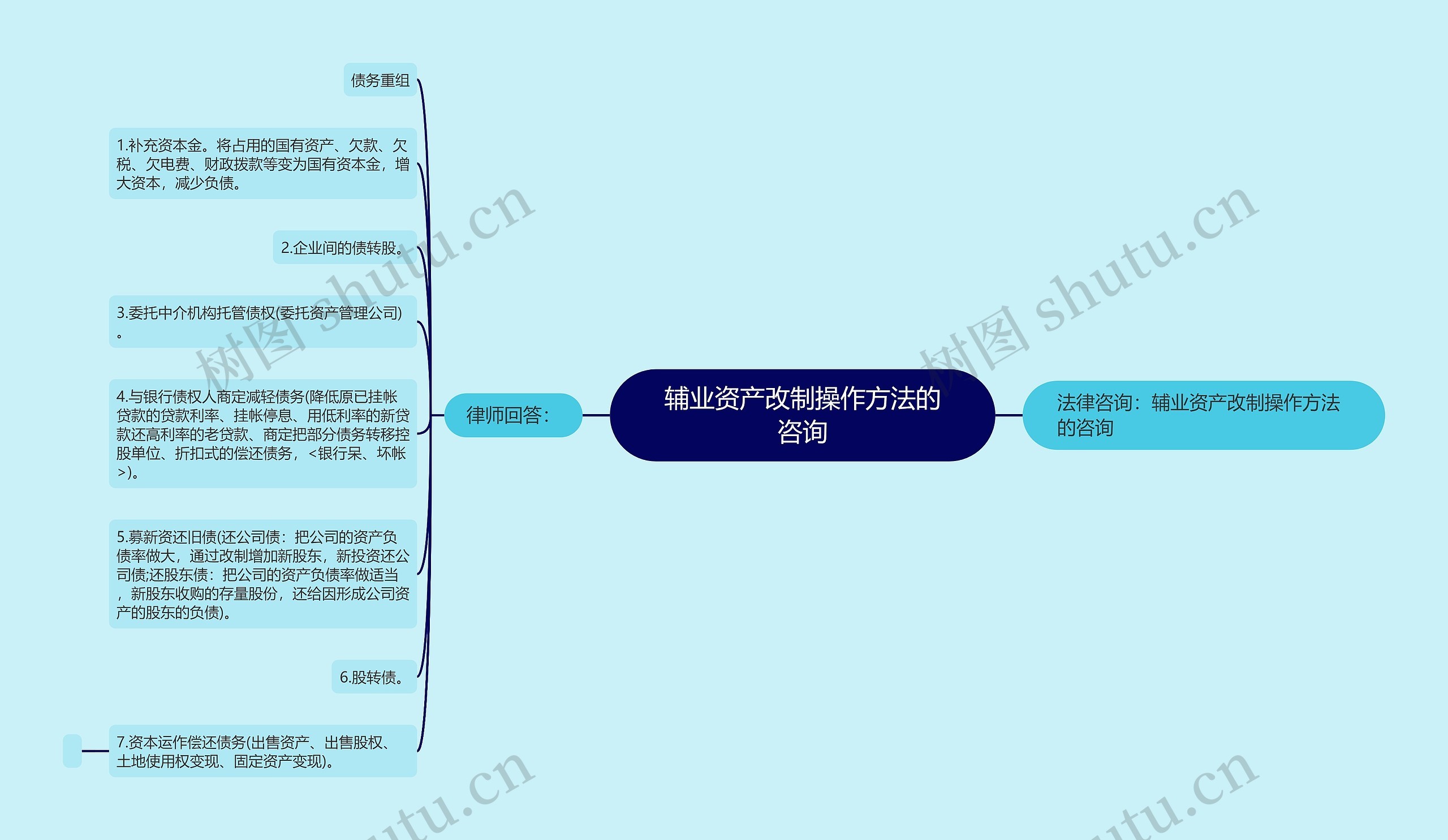 辅业资产改制操作方法的咨询思维导图