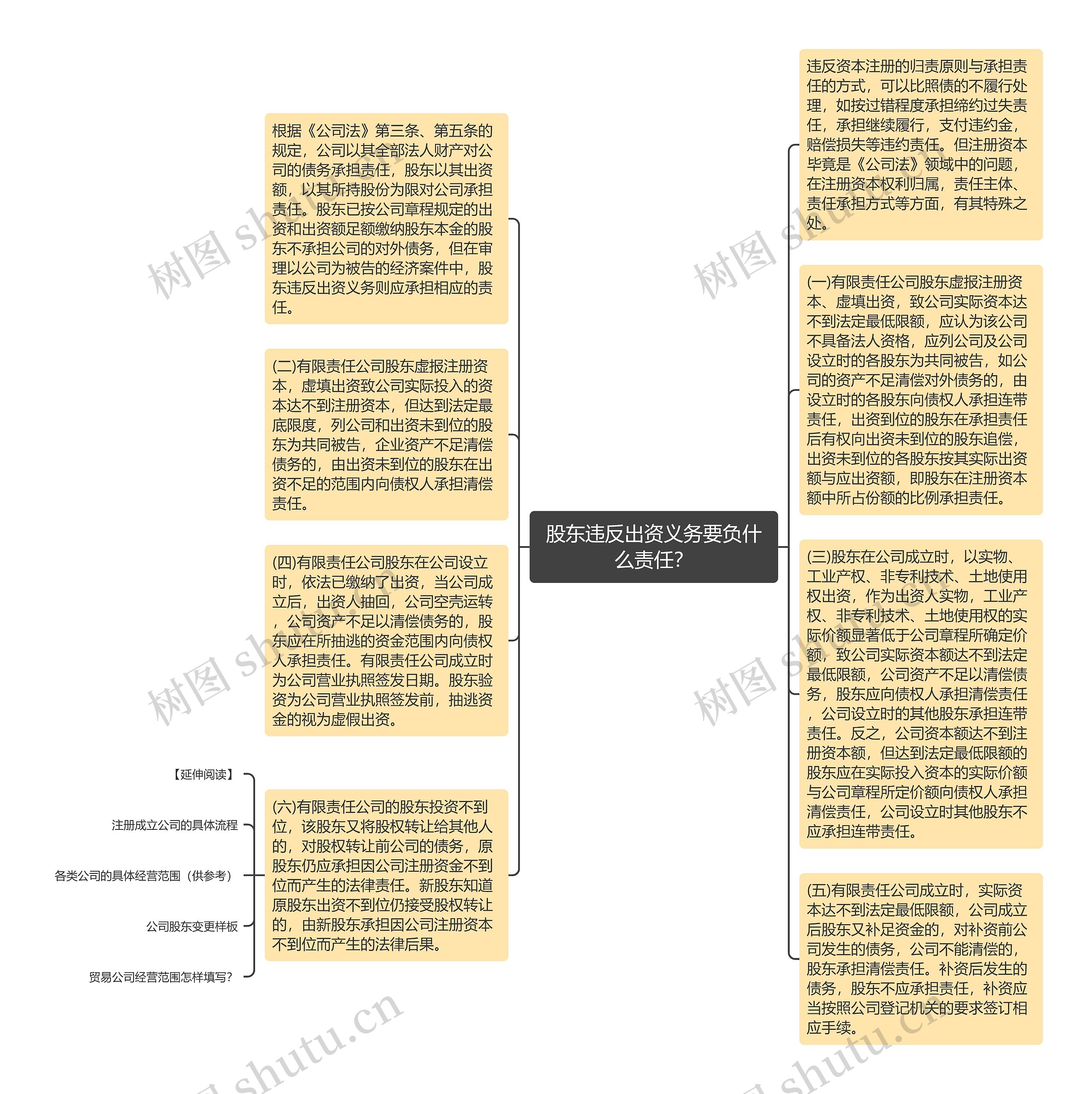 股东违反出资义务要负什么责任？