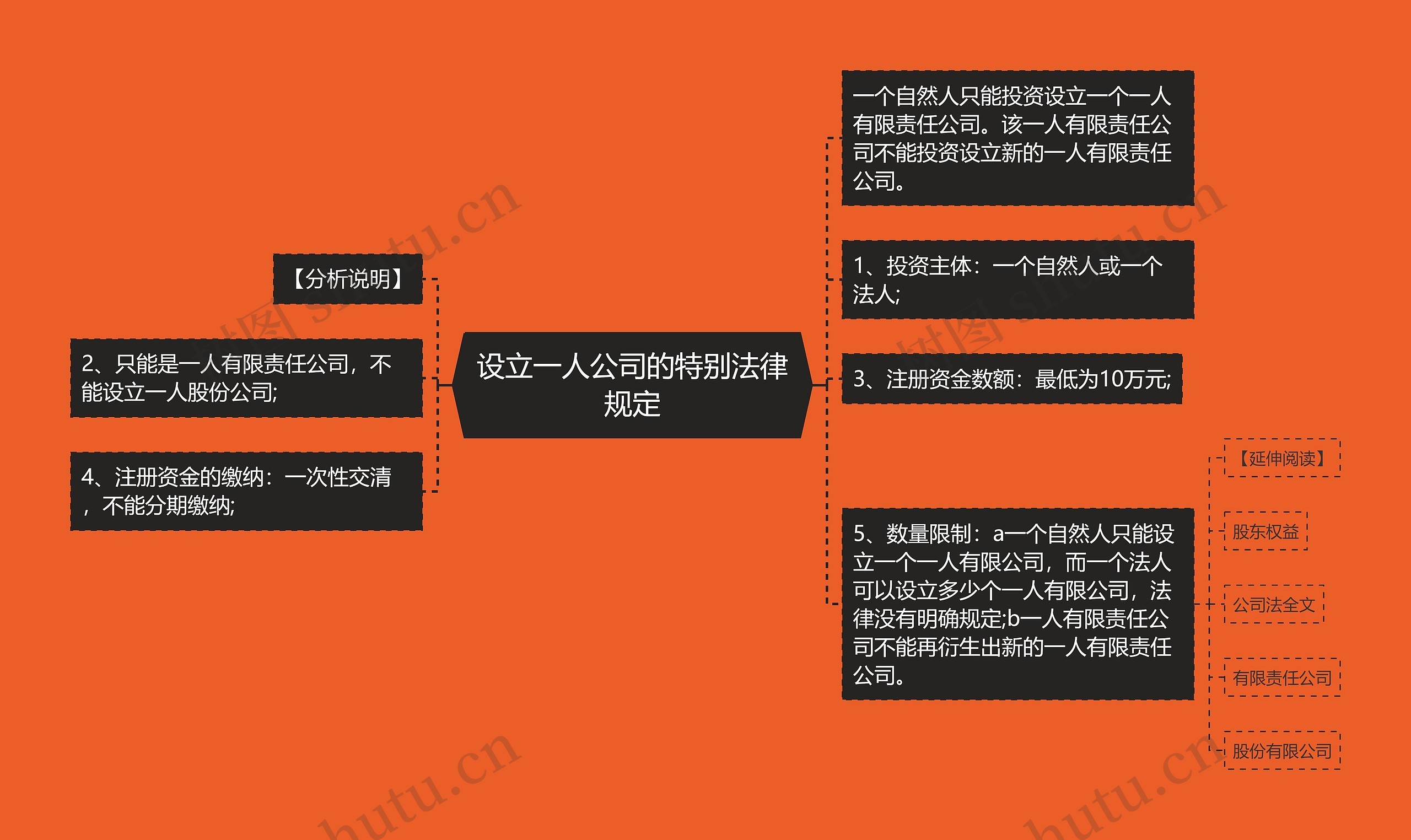 设立一人公司的特别法律规定思维导图