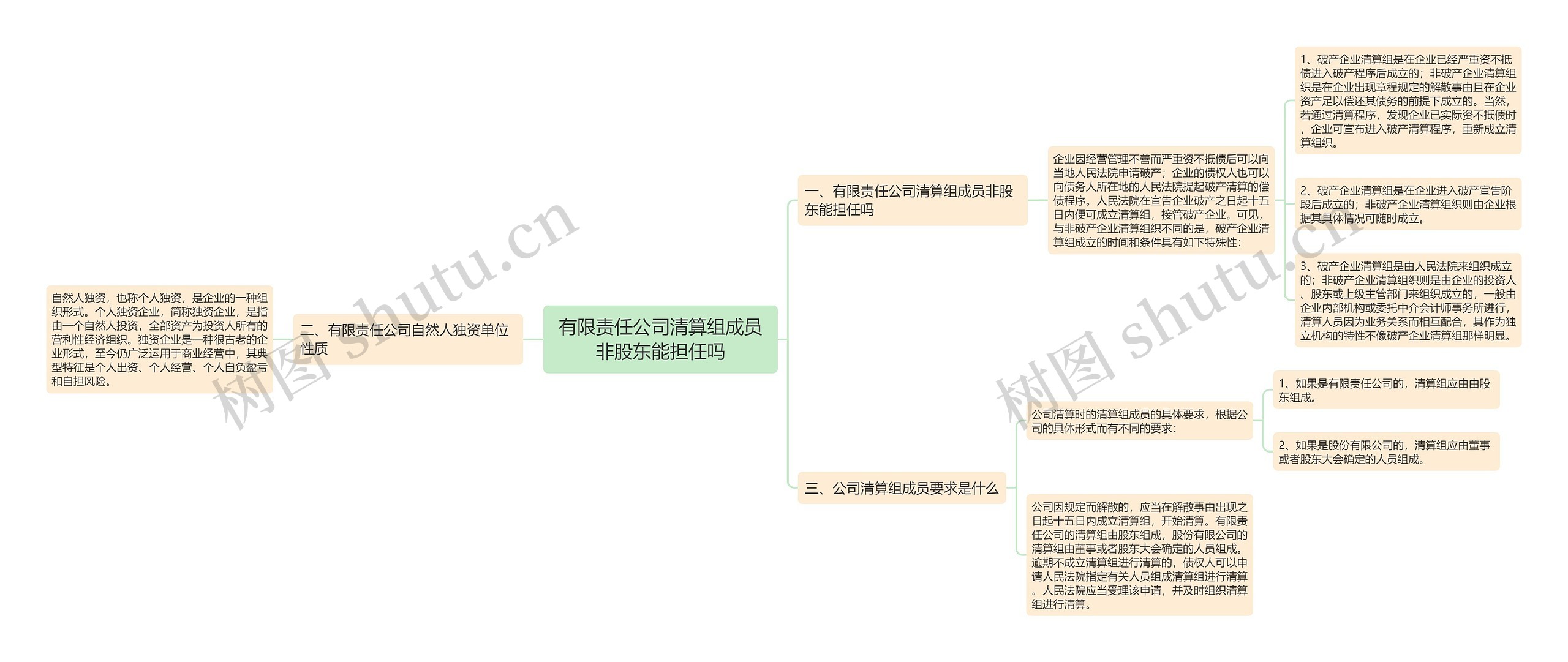 有限责任公司清算组成员非股东能担任吗思维导图