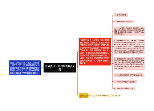 有限责任公司股东的8项义务