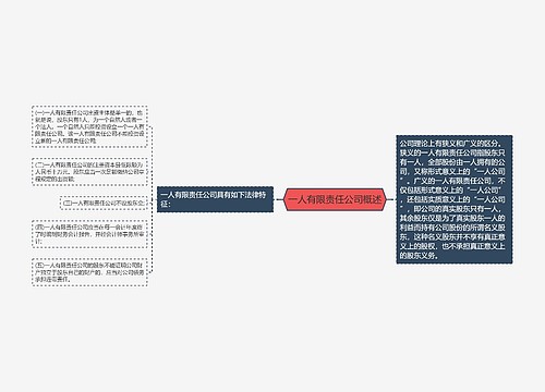 一人有限责任公司概述