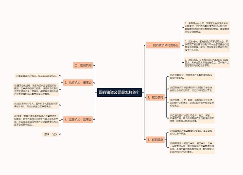 国有独资公司是怎样的？