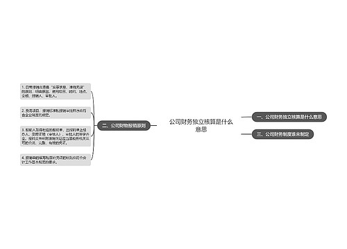 公司财务独立核算是什么意思