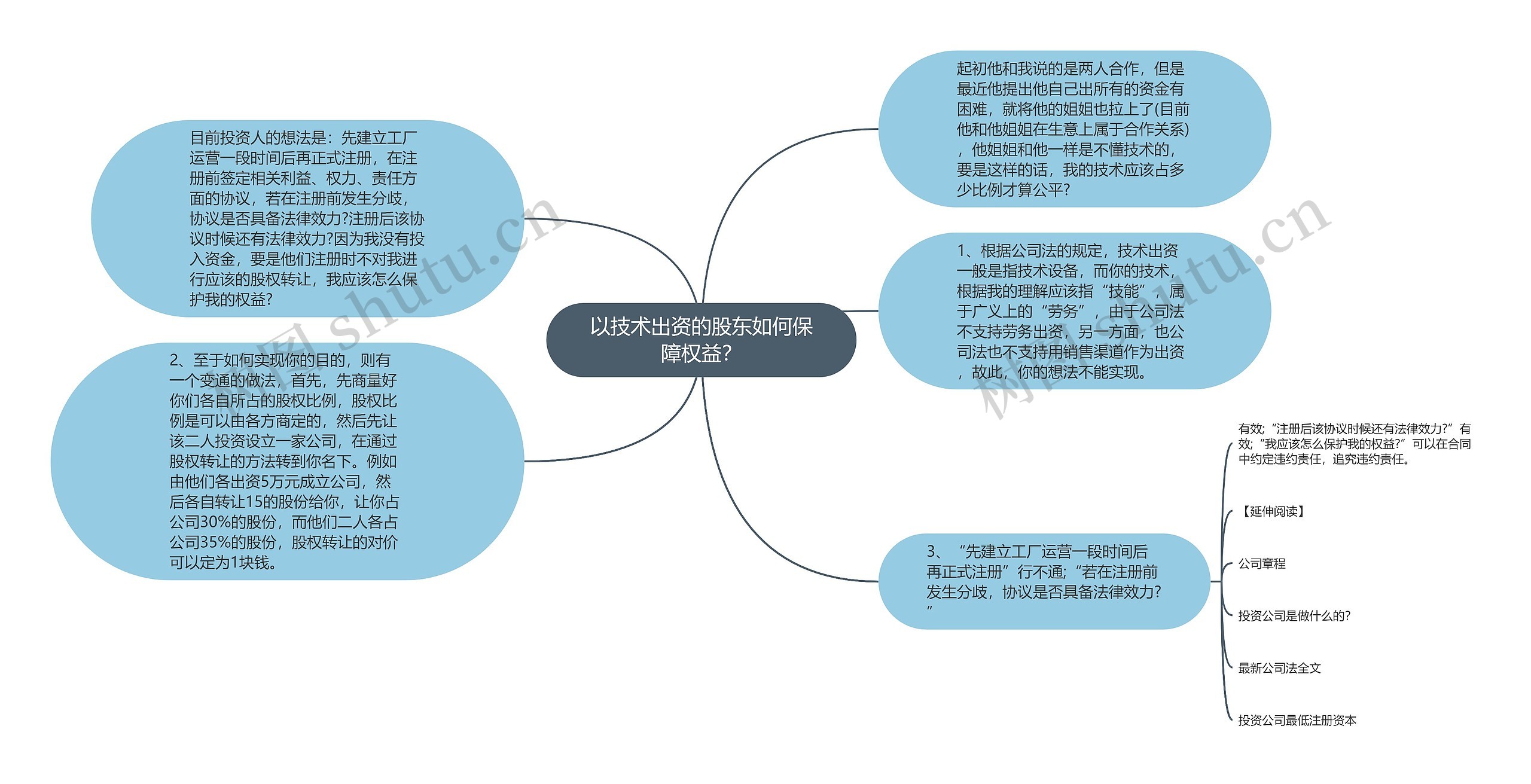 以技术出资的股东如何保障权益？