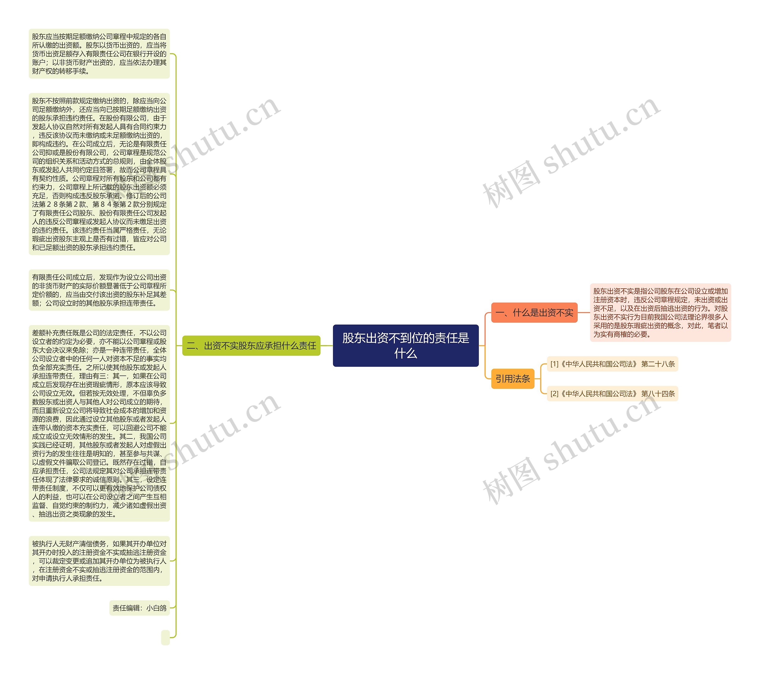 股东出资不到位的责任是什么思维导图