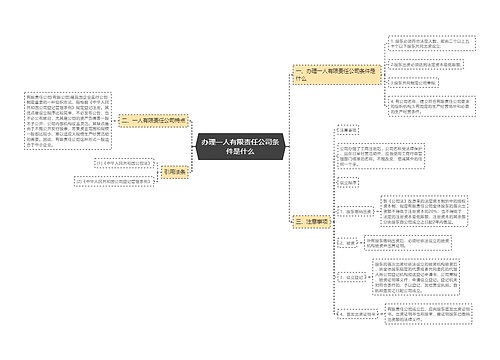 办理一人有限责任公司条件是什么