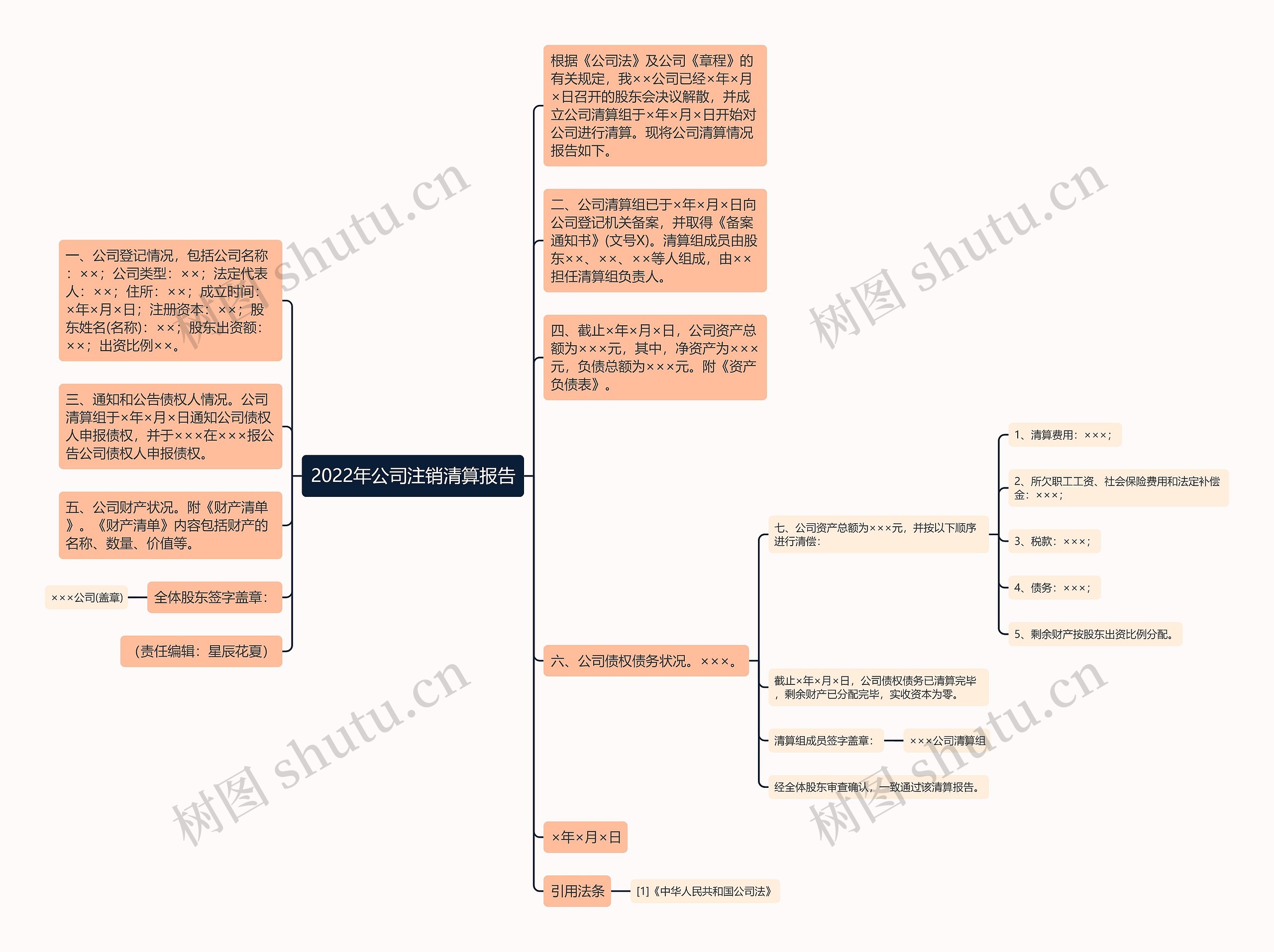 2022年公司注销清算报告 2022年公司注销清算报告