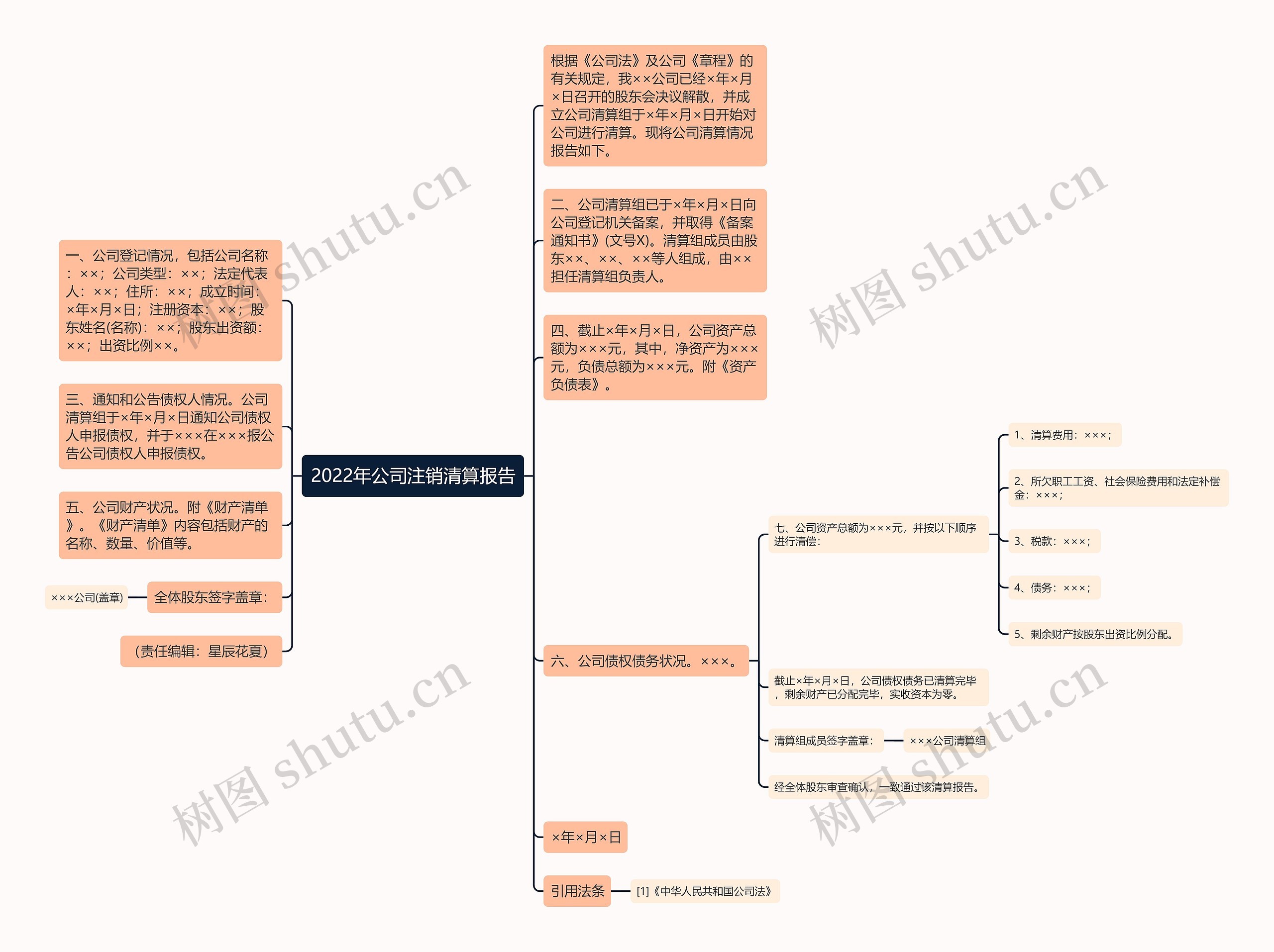 2022年公司注销清算报告思维导图