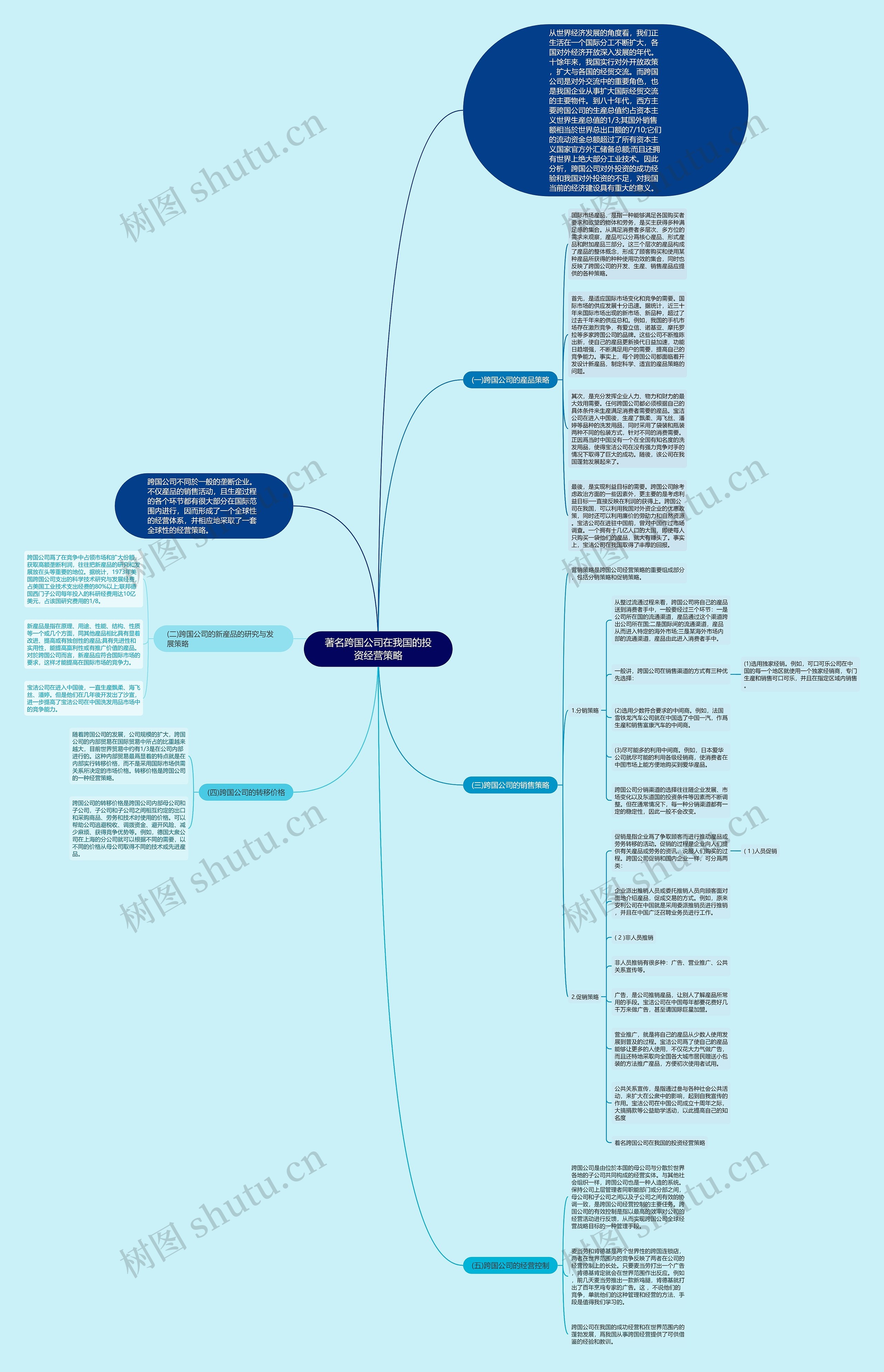 著名跨国公司在我国的投资经营策略思维导图