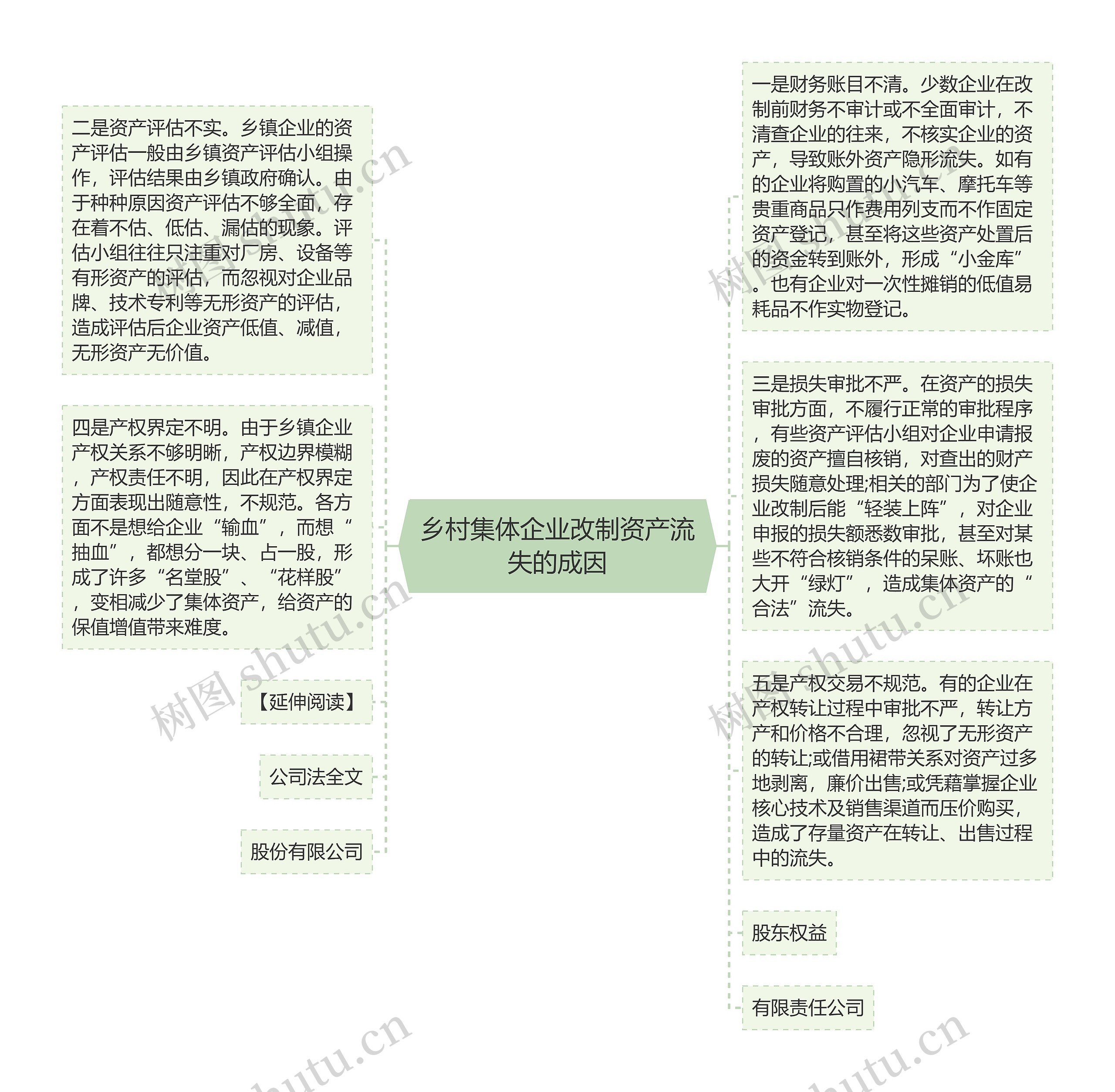 乡村集体企业改制资产流失的成因思维导图