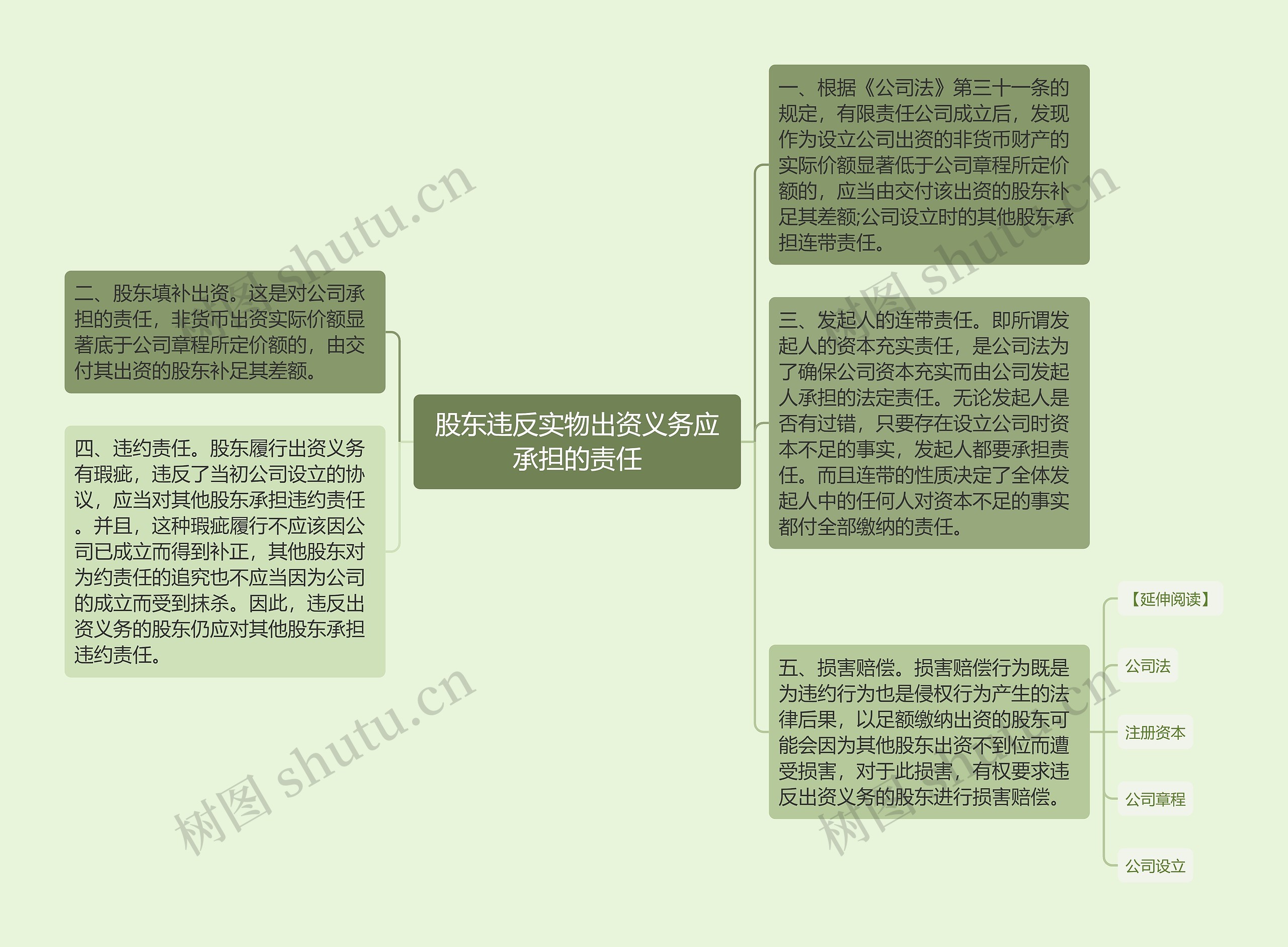 股东违反实物出资义务应承担的责任思维导图