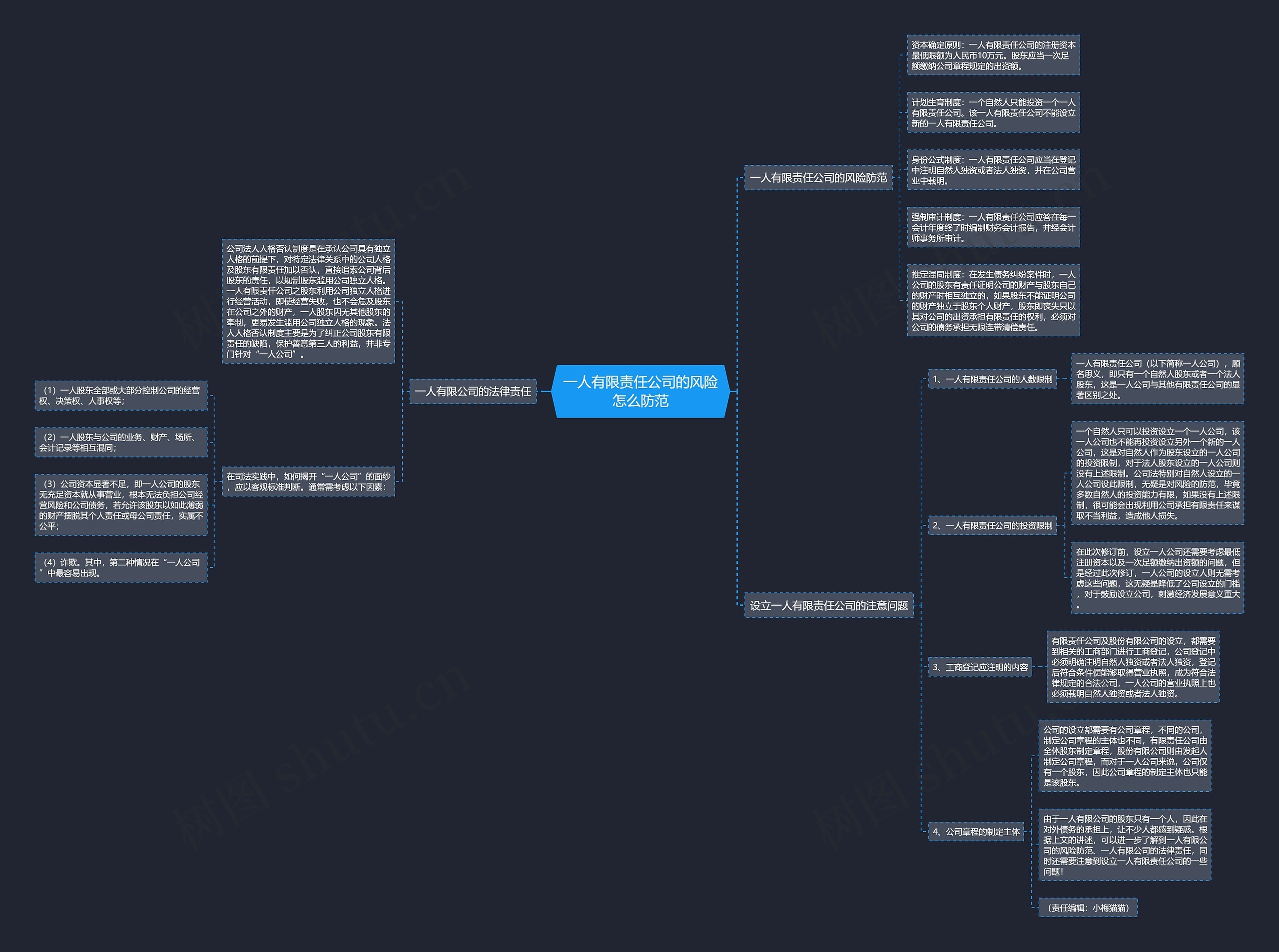 一人有限责任公司的风险怎么防范