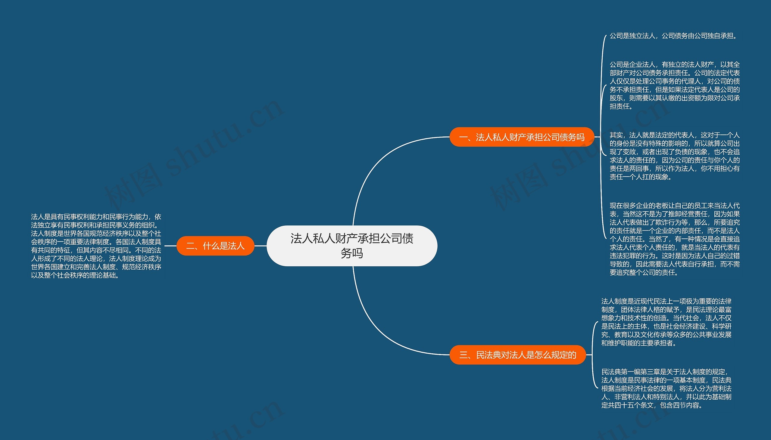 法人私人财产承担公司债务吗思维导图