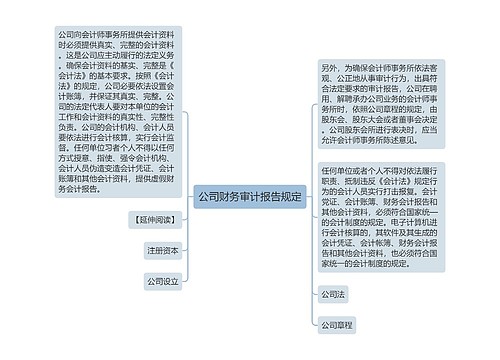 公司财务审计报告规定