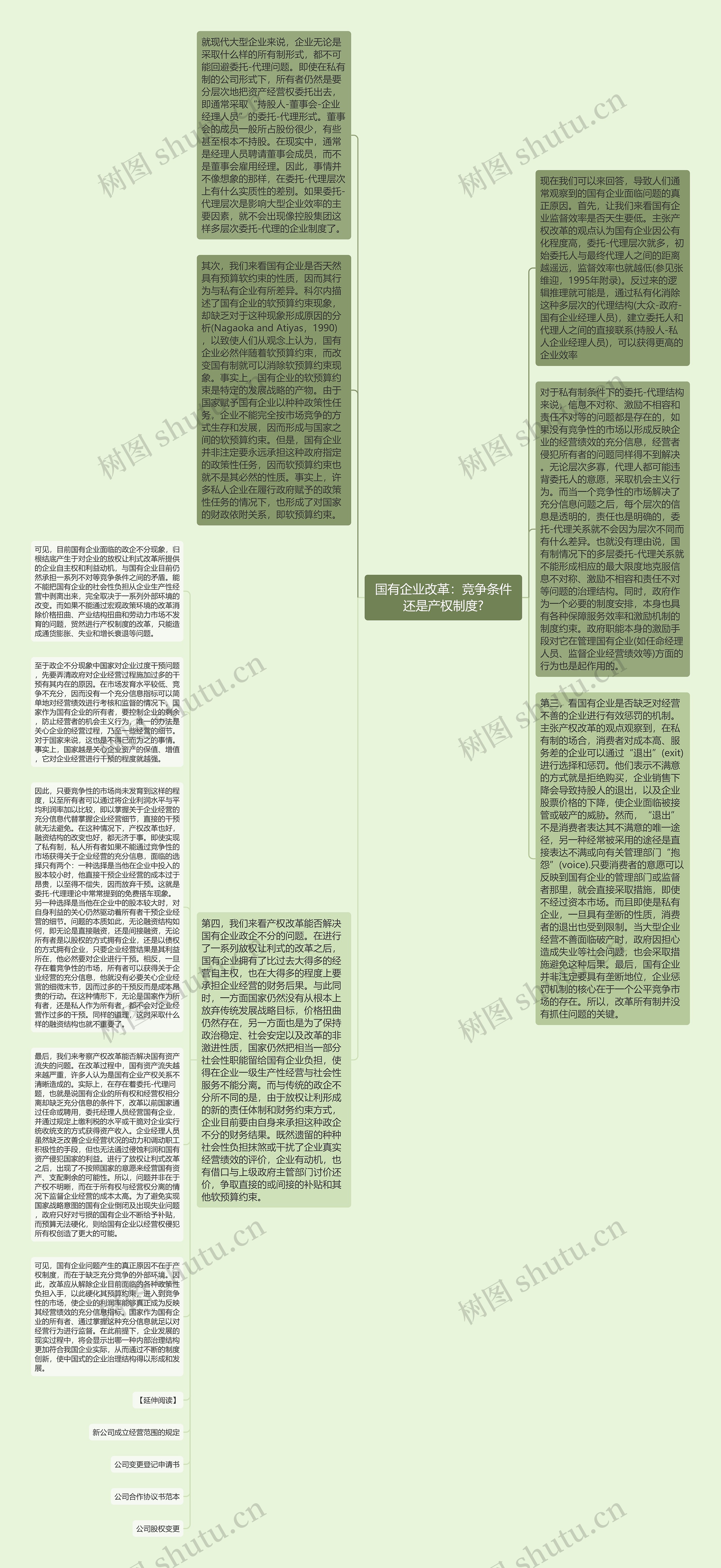 国有企业改革：竞争条件还是产权制度?思维导图