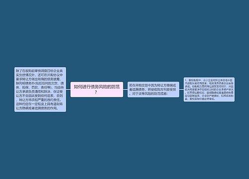 如何进行债务风险的防范？
