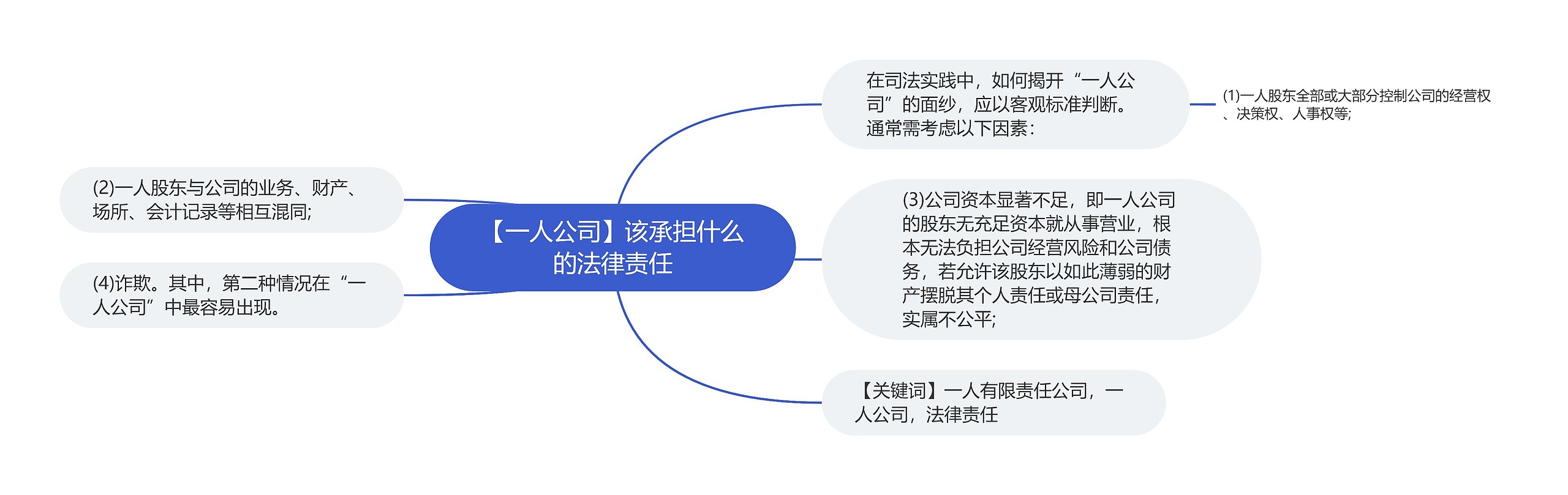 【一人公司】该承担什么的法律责任思维导图