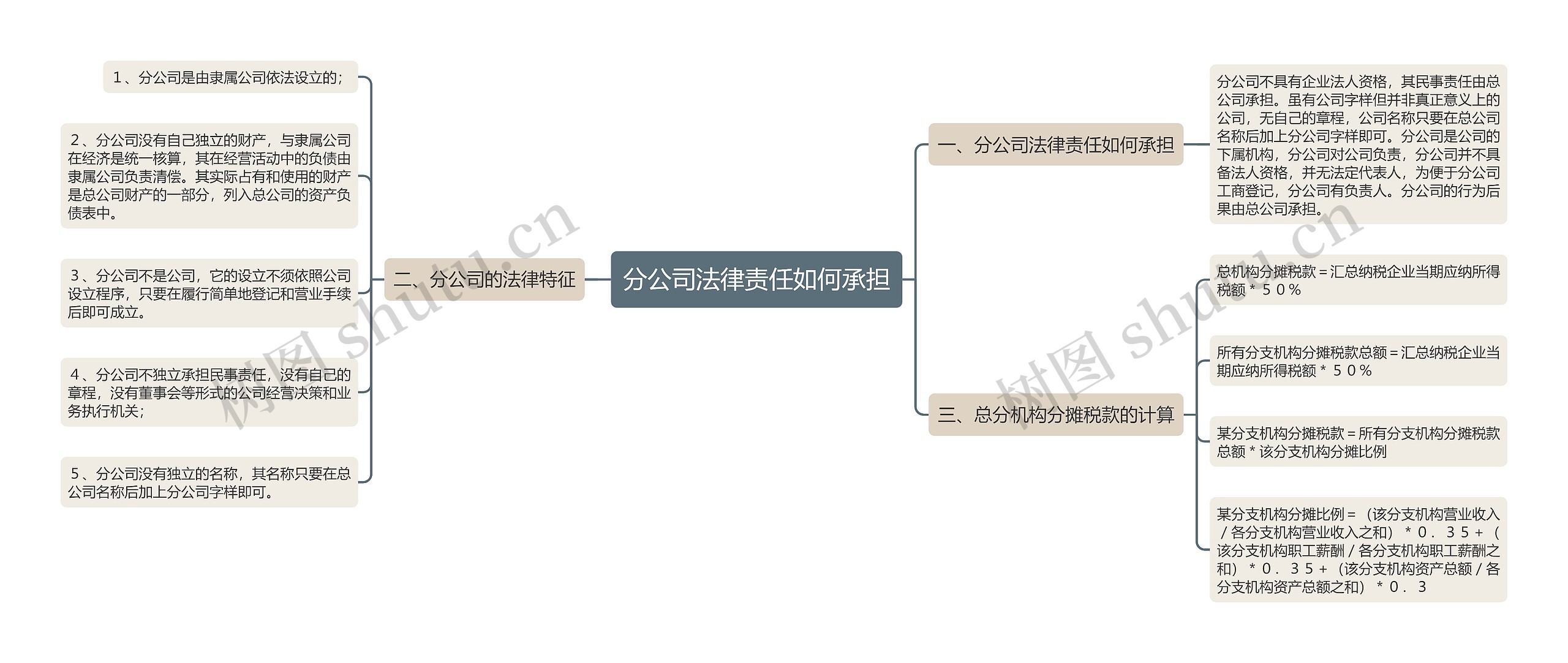 分公司法律责任如何承担思维导图