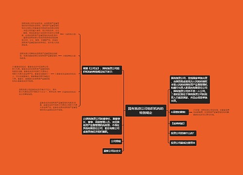 国有独资公司组织机构的特别规定