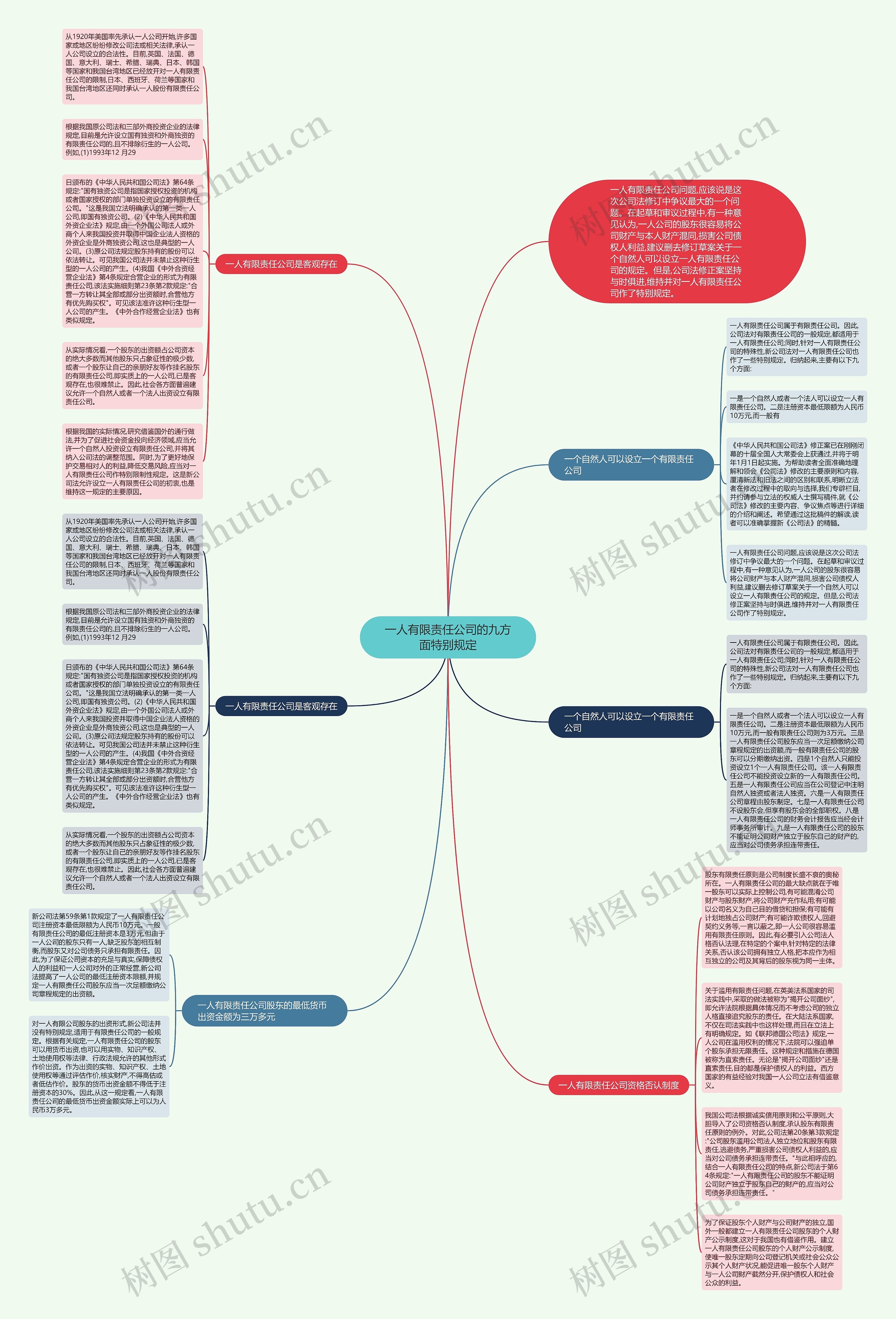 一人有限责任公司的九方面特别规定思维导图