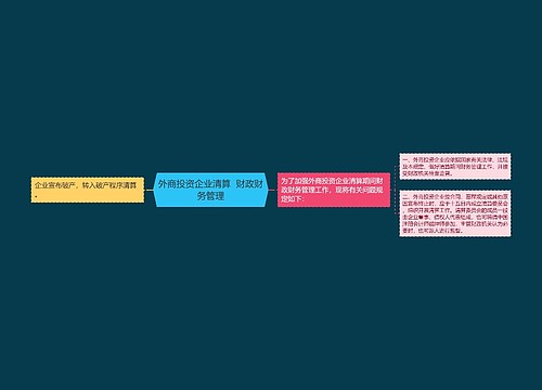 外商投资企业清算  财政财务管理