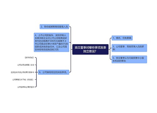 独立董事对哪些事项发表独立意见？