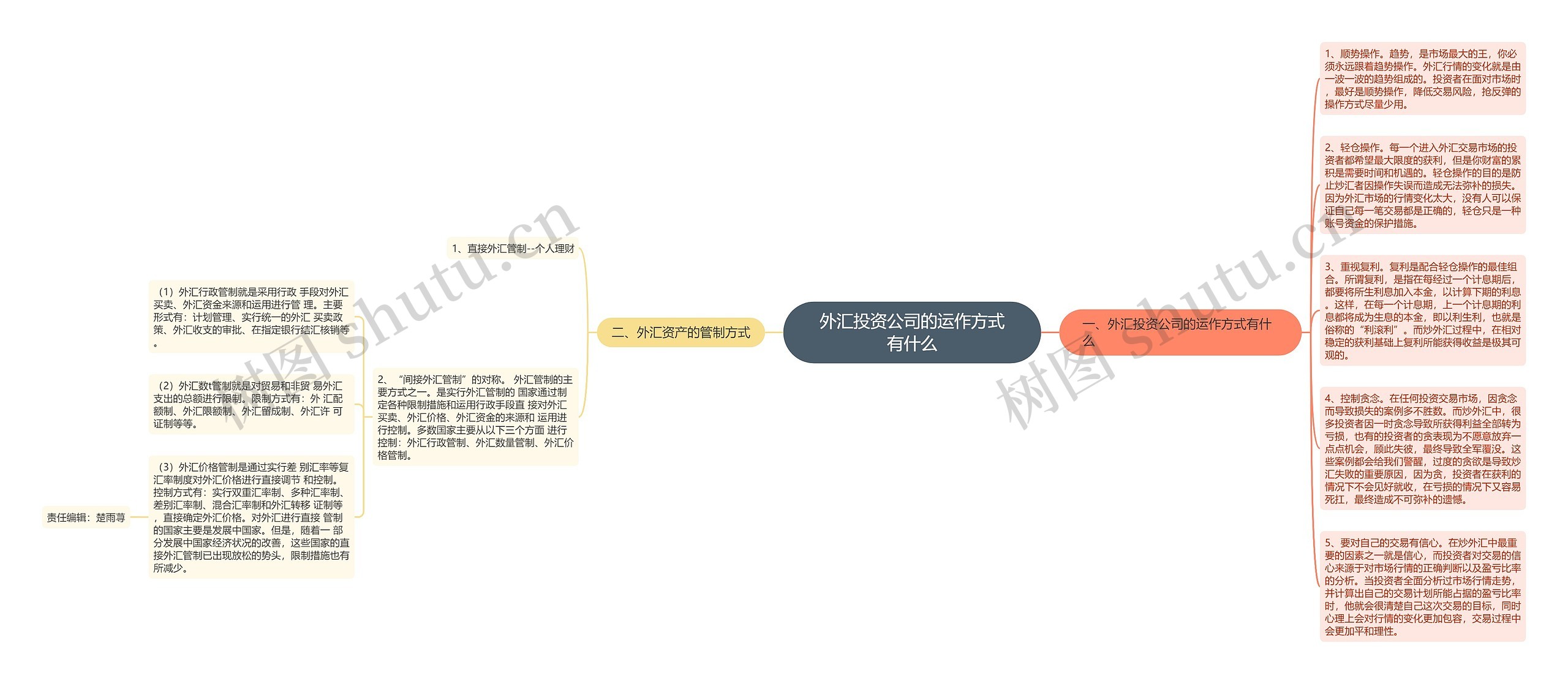 外汇投资公司的运作方式有什么