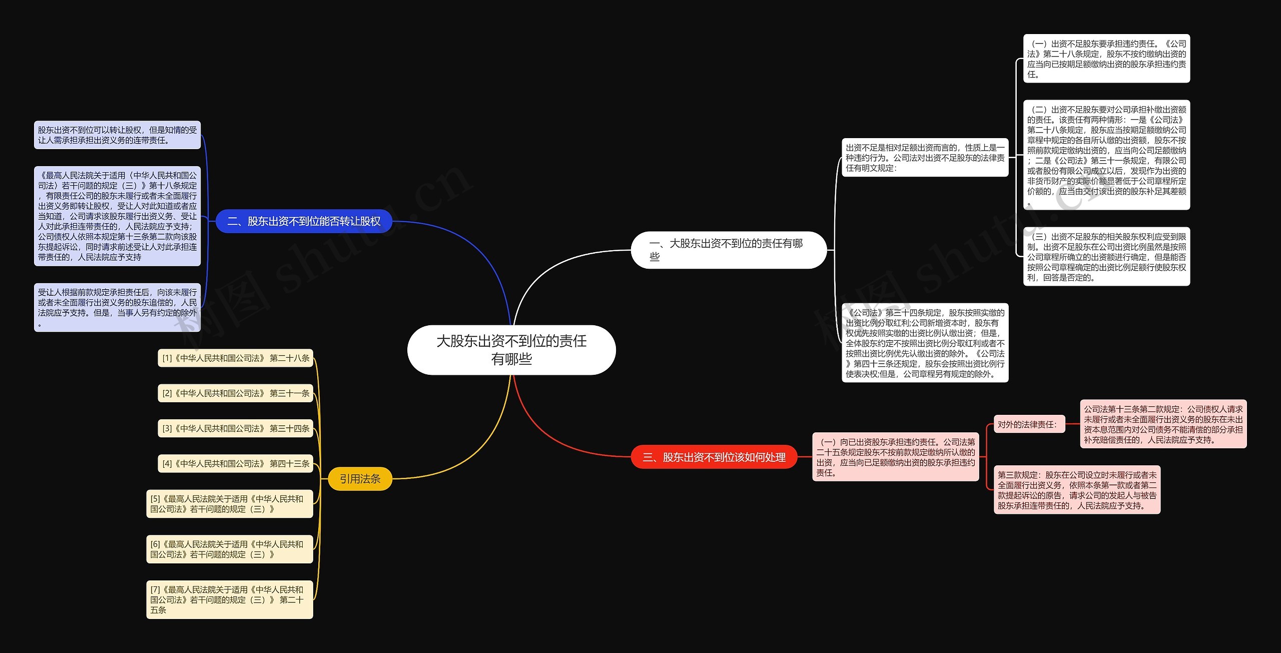 大股东出资不到位的责任有哪些思维导图