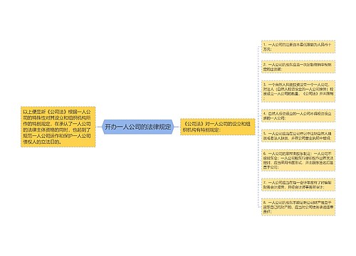 开办一人公司的法律规定