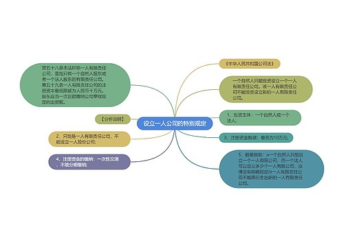 设立一人公司的特别规定