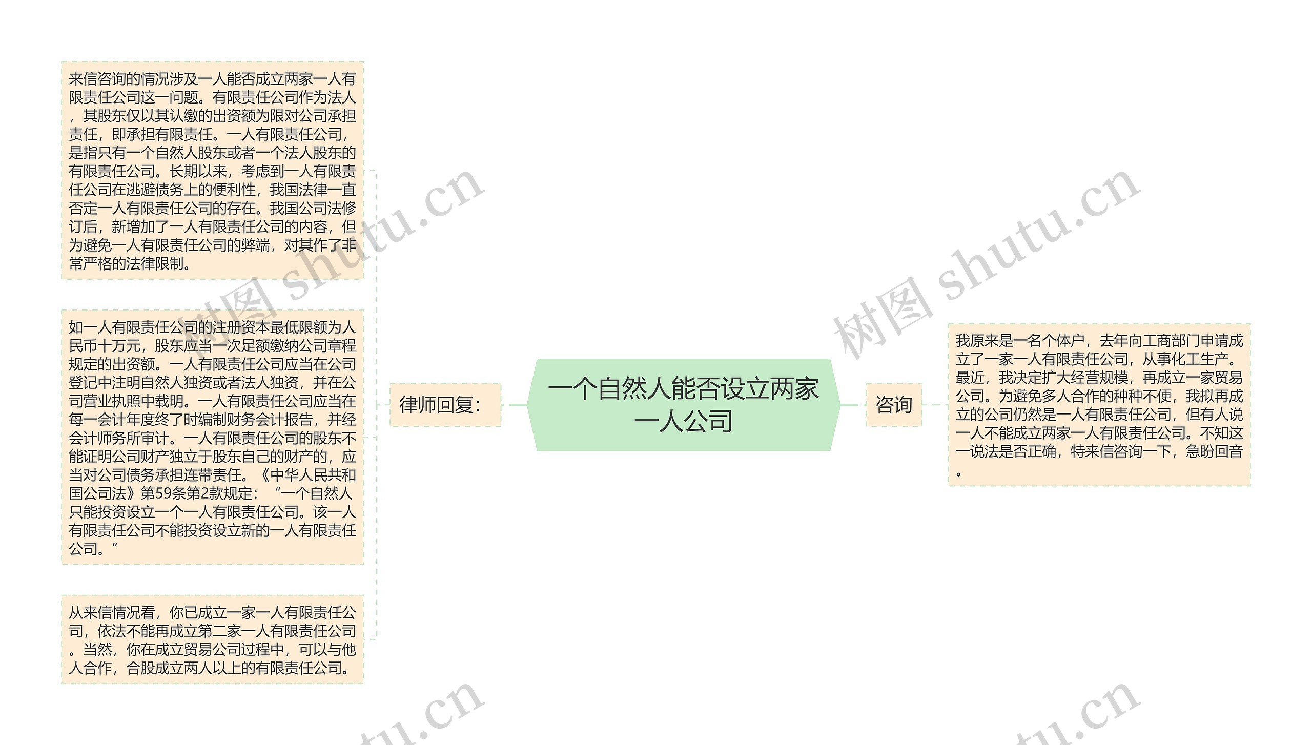 一个自然人能否设立两家一人公司